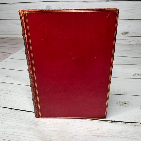 Half Hours in Woods and Wilds 1883 HC Wm. Isbister Leather Spine Gift - Picture 4 of 16